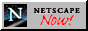 netnow3.gif (7674 bytes)